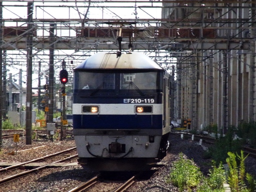 EF210-119(Rw)
